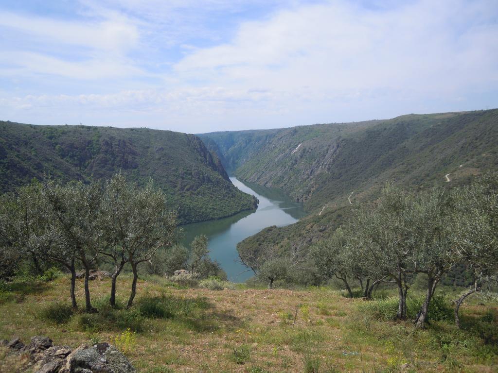 Hotel Rural Rinconada De Las Arribes อัลเดอาดาวีลา เด ลาริเบรา ภายนอก รูปภาพ